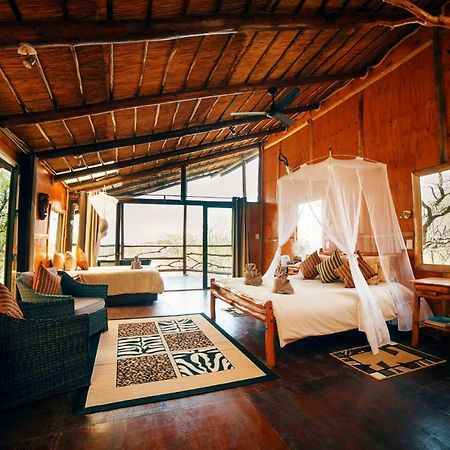 Pezulu Tree House Lodge 侯斯普瑞特 外观 照片