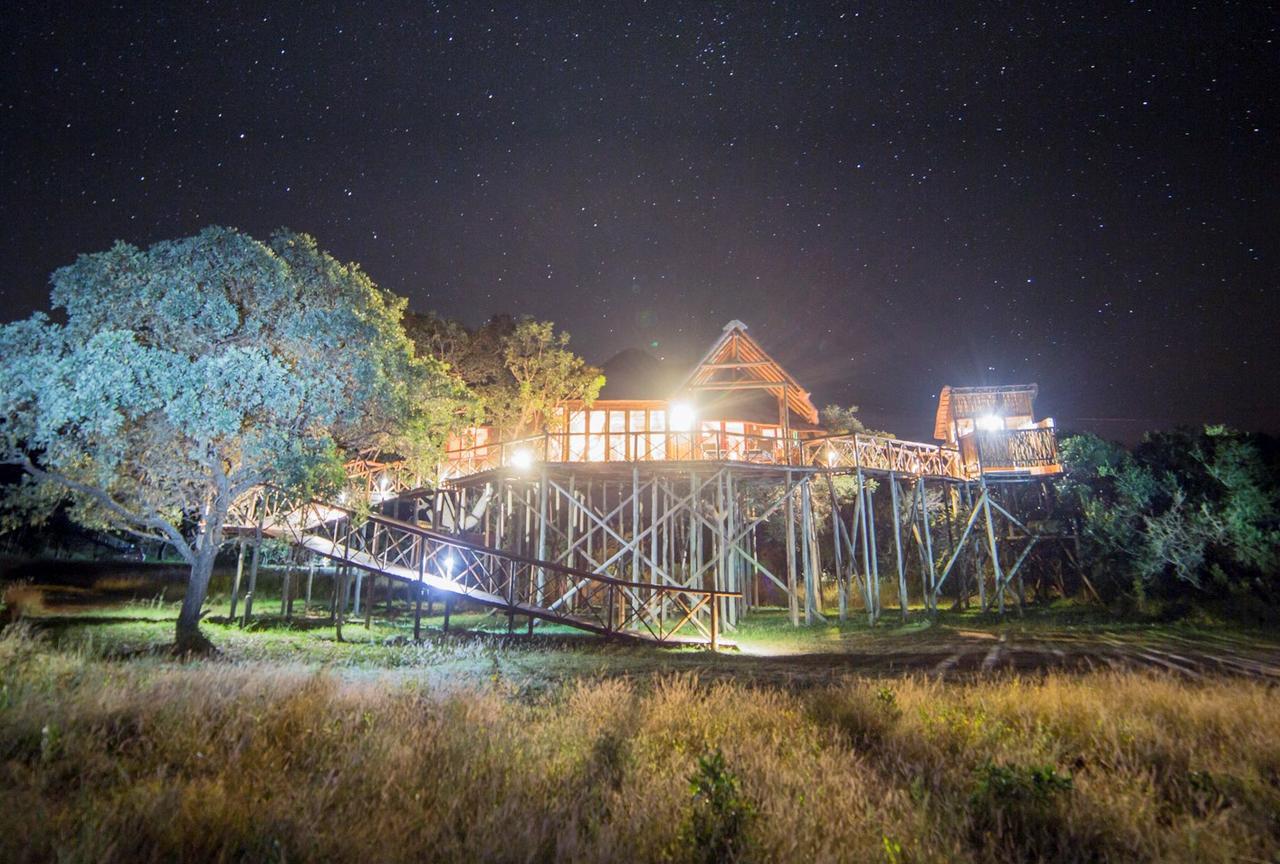 Pezulu Tree House Lodge 侯斯普瑞特 外观 照片