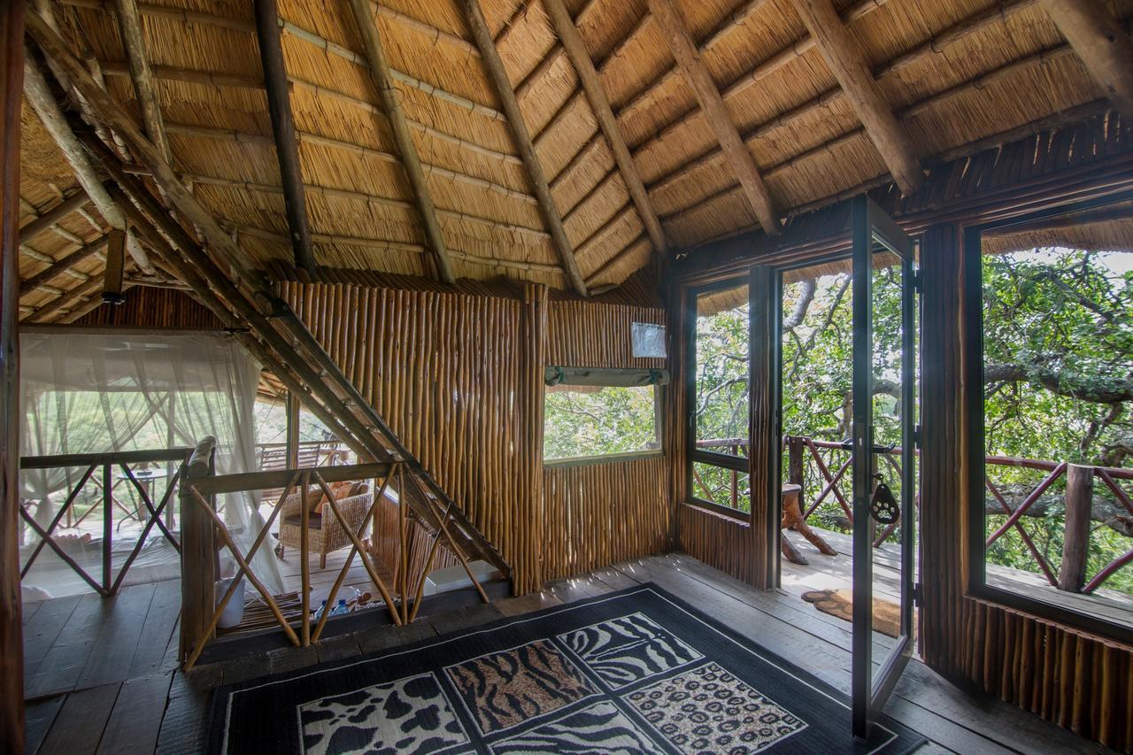 Pezulu Tree House Lodge 侯斯普瑞特 外观 照片