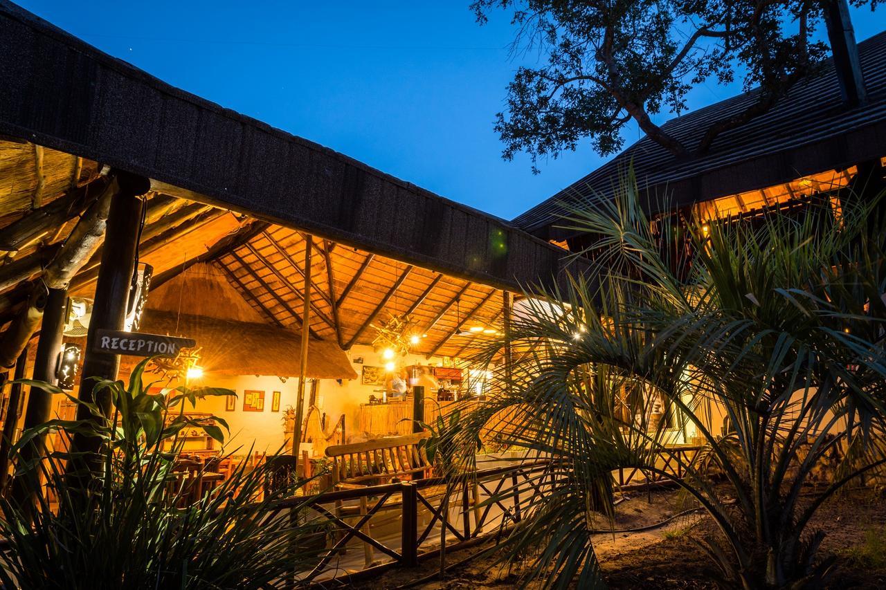 Pezulu Tree House Lodge 侯斯普瑞特 外观 照片
