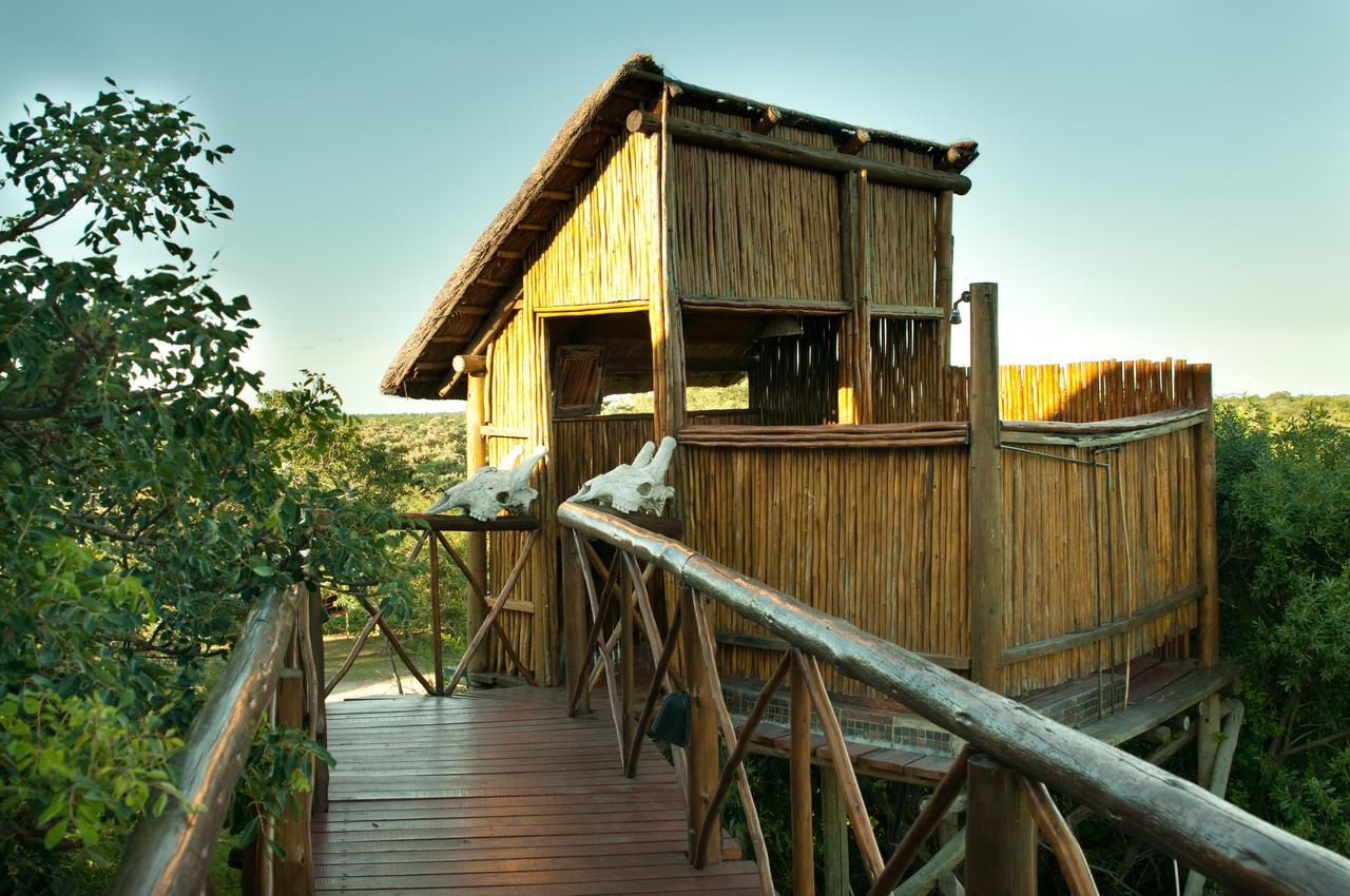 Pezulu Tree House Lodge 侯斯普瑞特 外观 照片
