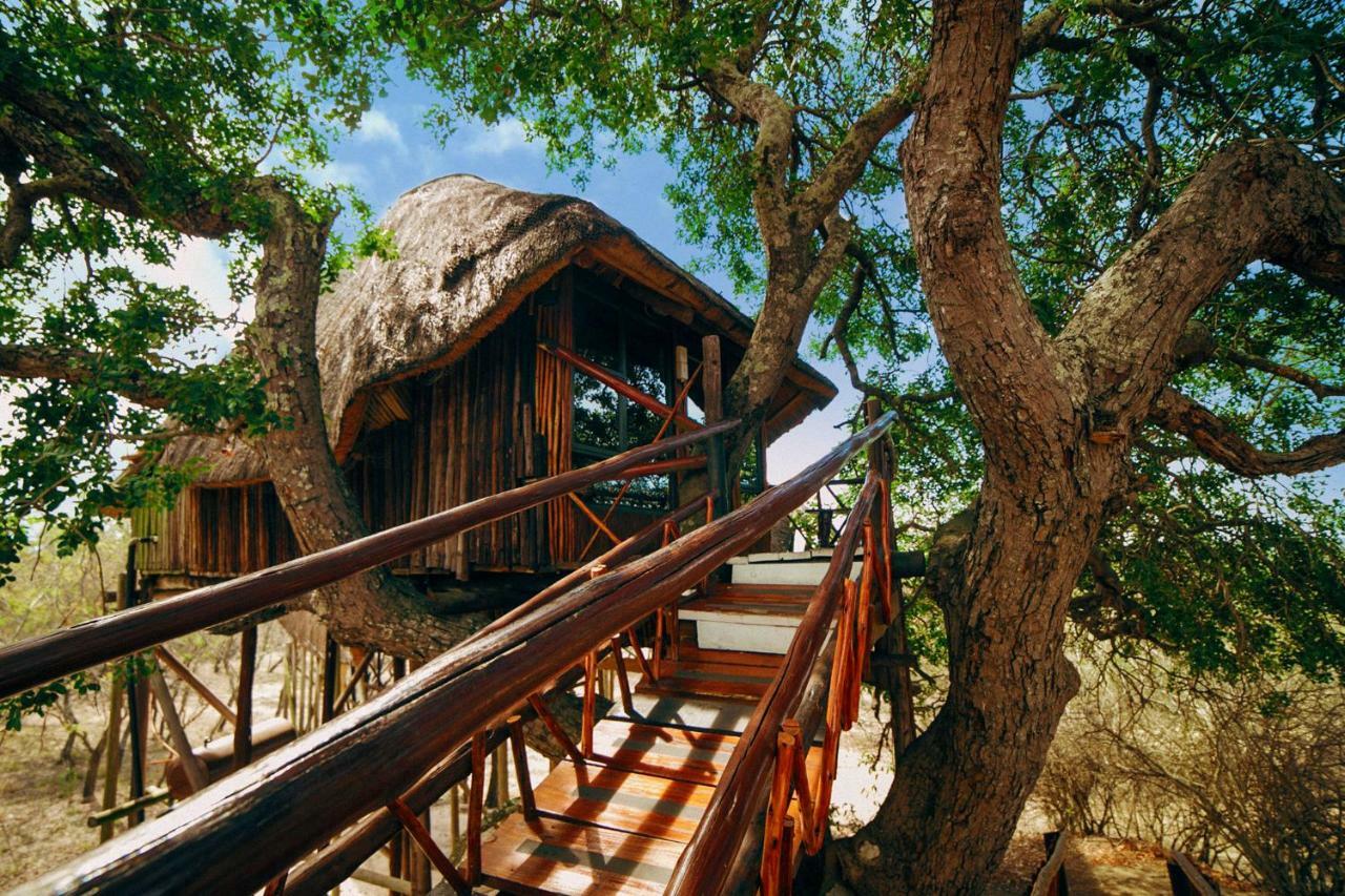 Pezulu Tree House Lodge 侯斯普瑞特 外观 照片