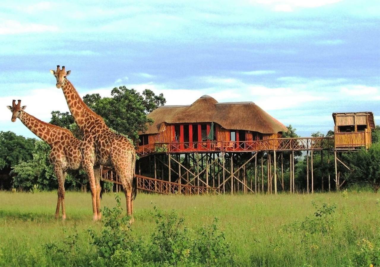 Pezulu Tree House Lodge 侯斯普瑞特 外观 照片
