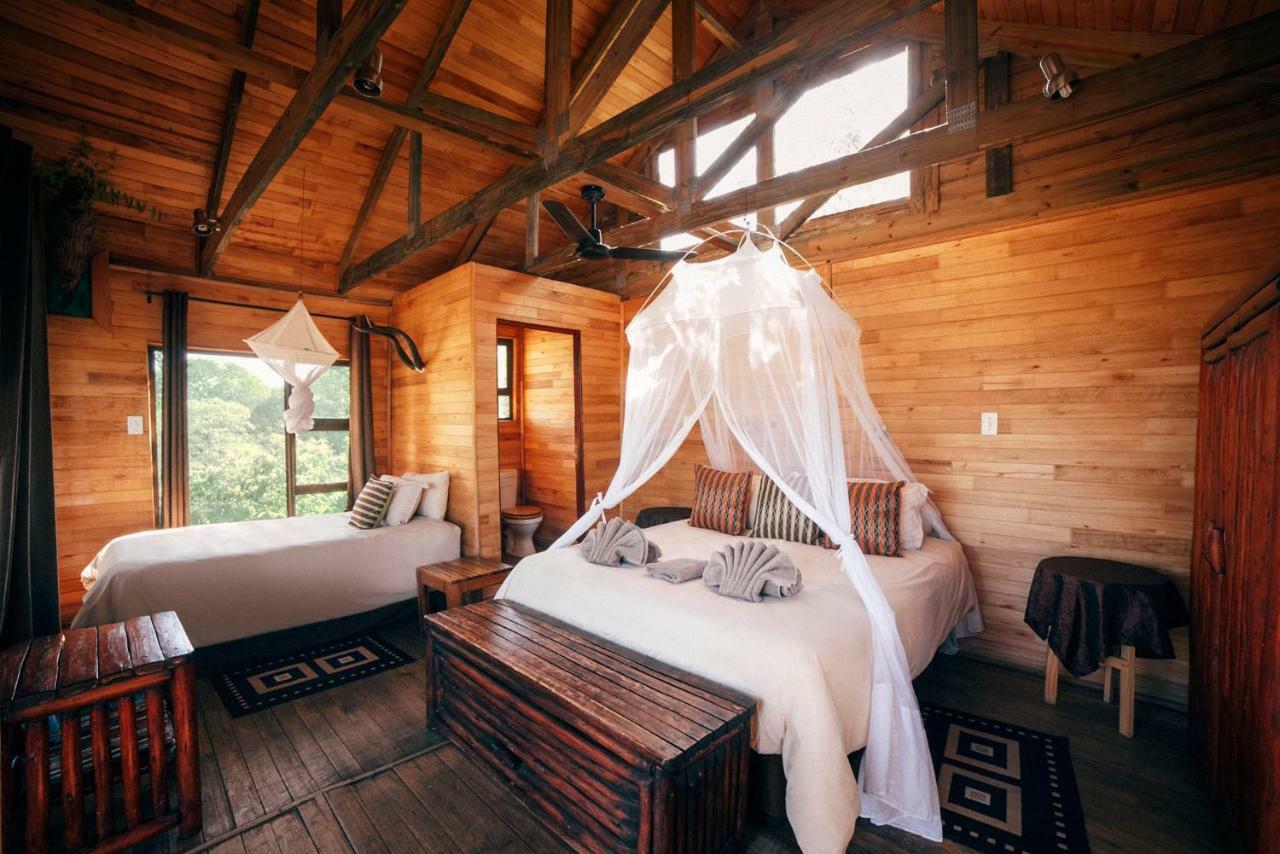 Pezulu Tree House Lodge 侯斯普瑞特 外观 照片
