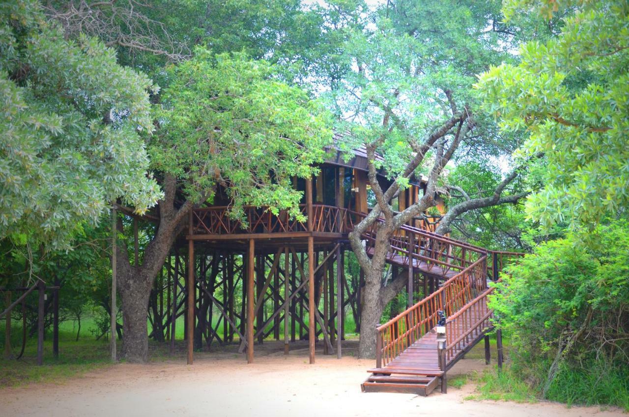 Pezulu Tree House Lodge 侯斯普瑞特 外观 照片