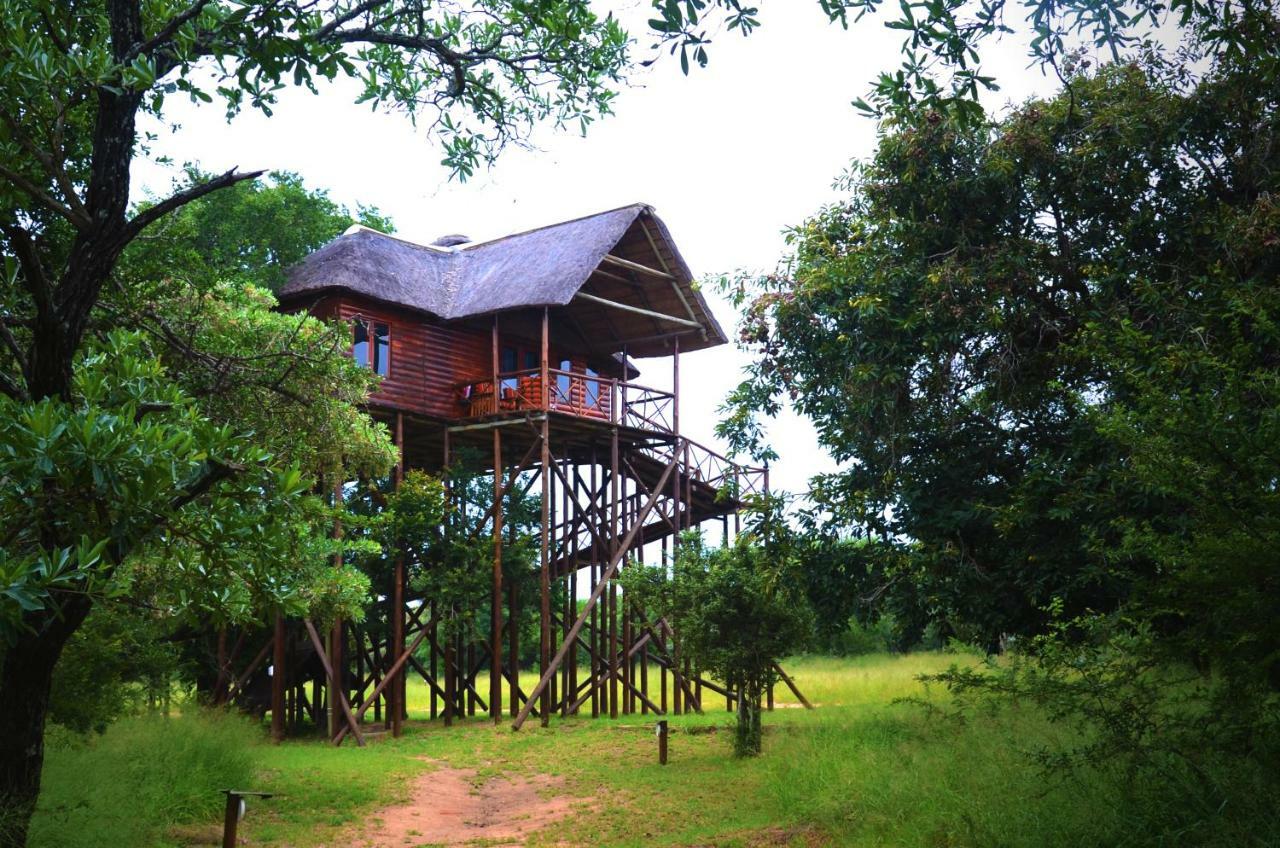 Pezulu Tree House Lodge 侯斯普瑞特 外观 照片