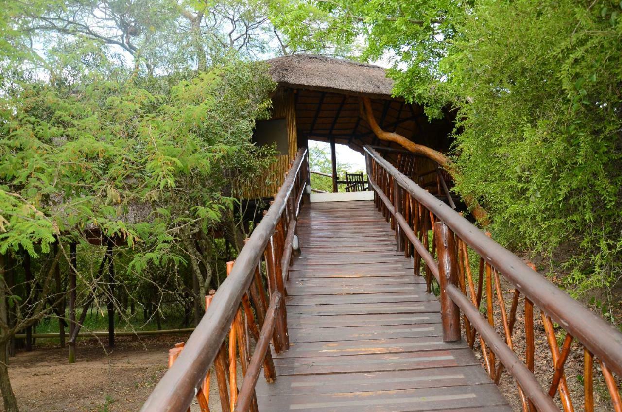 Pezulu Tree House Lodge 侯斯普瑞特 外观 照片