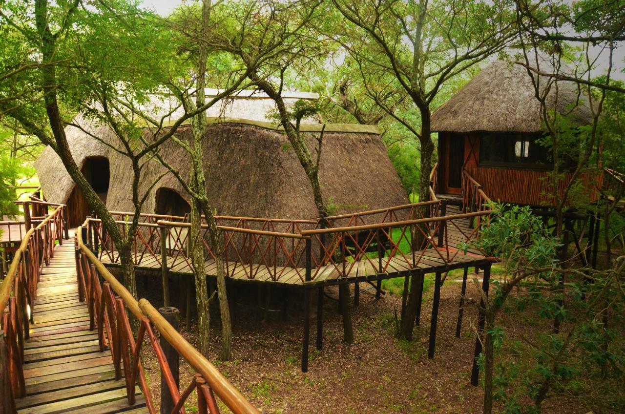 Pezulu Tree House Lodge 侯斯普瑞特 外观 照片