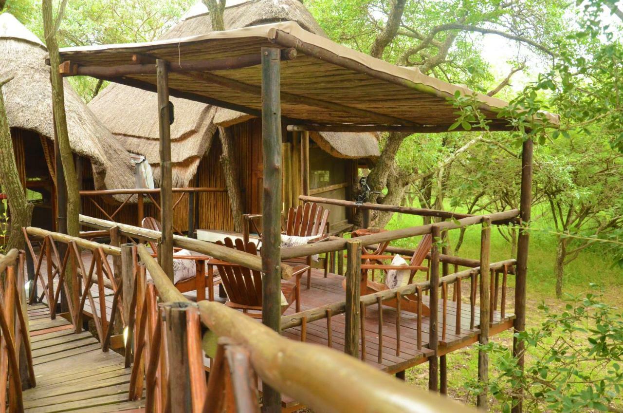 Pezulu Tree House Lodge 侯斯普瑞特 外观 照片