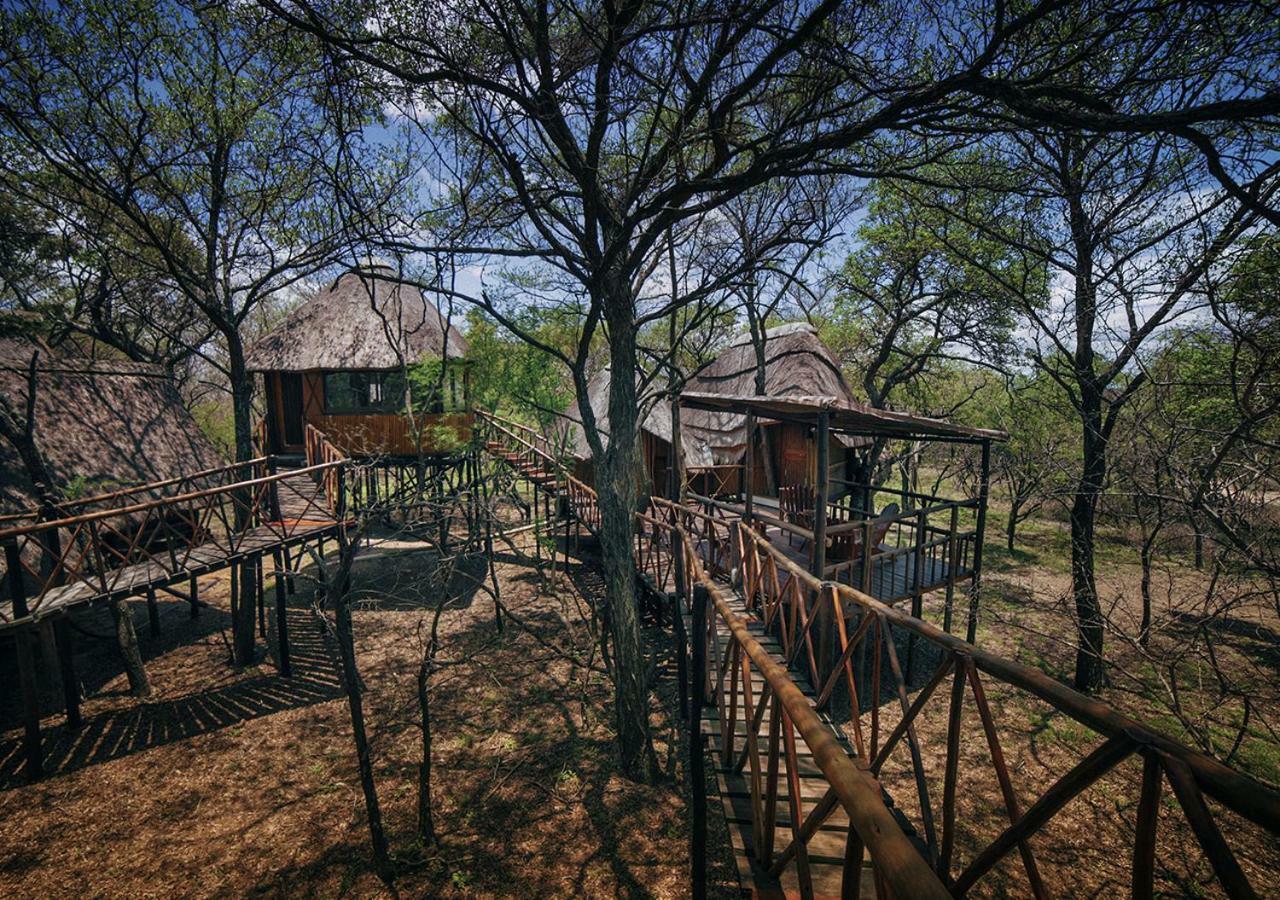 Pezulu Tree House Lodge 侯斯普瑞特 外观 照片