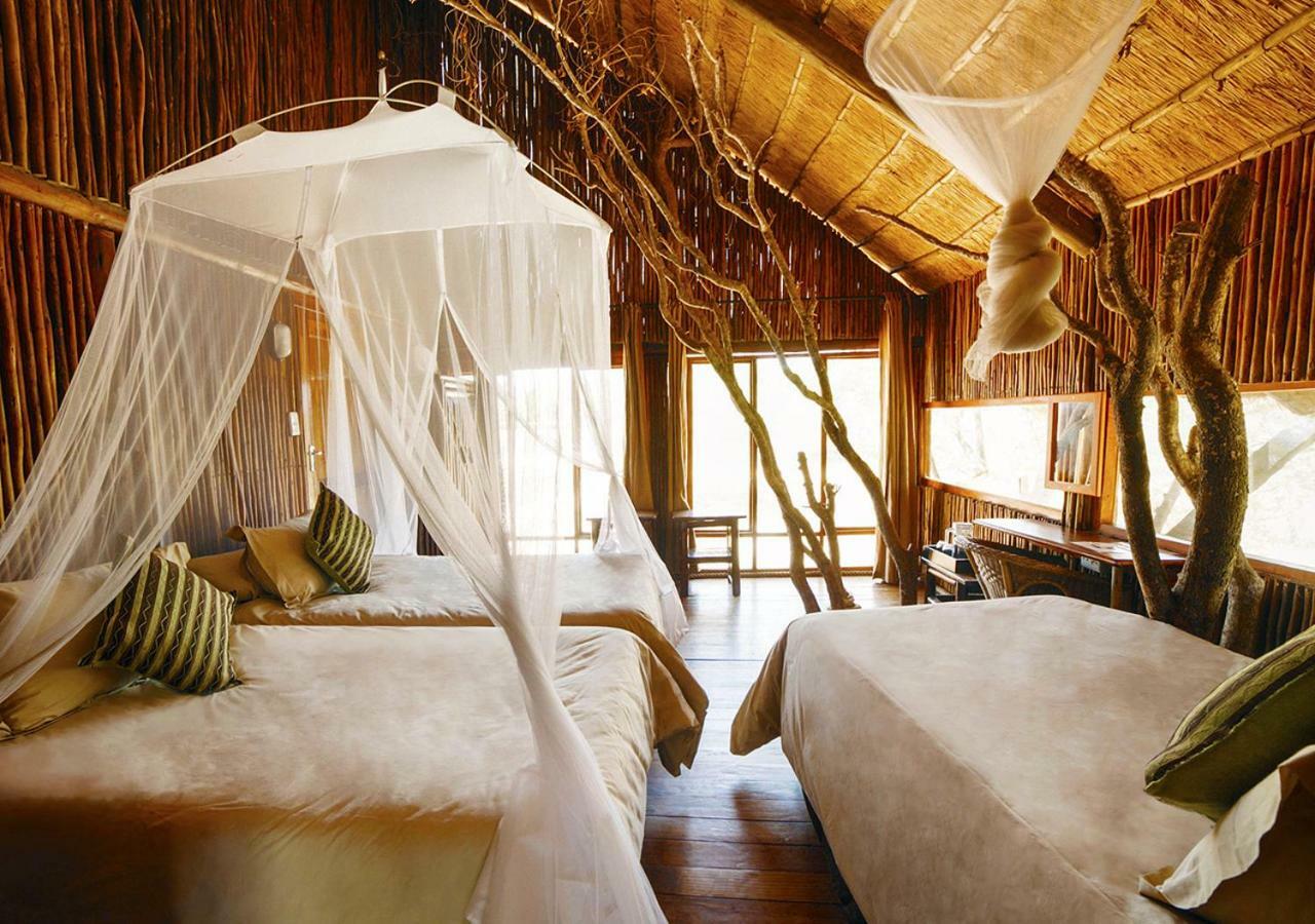 Pezulu Tree House Lodge 侯斯普瑞特 外观 照片